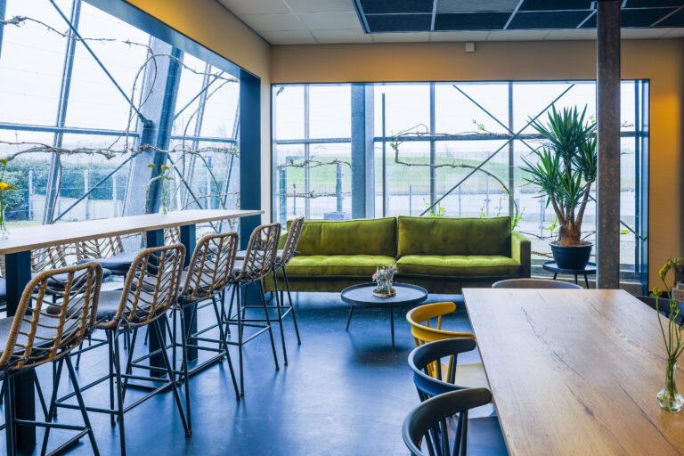 20230224-The Vineyard-3529-Web