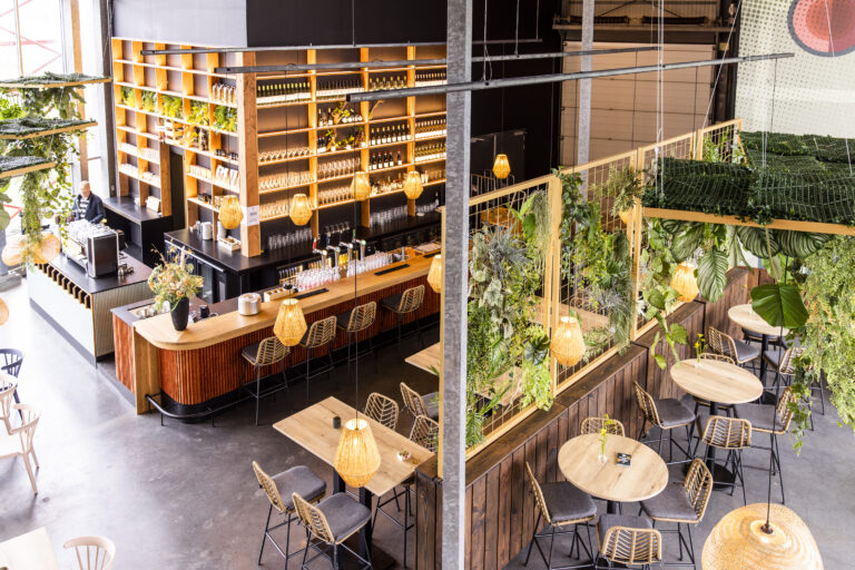 20230224-The Vineyard-3662-Web