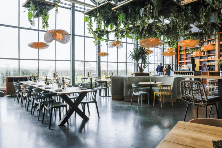 20230224-The Vineyard-3793-Web