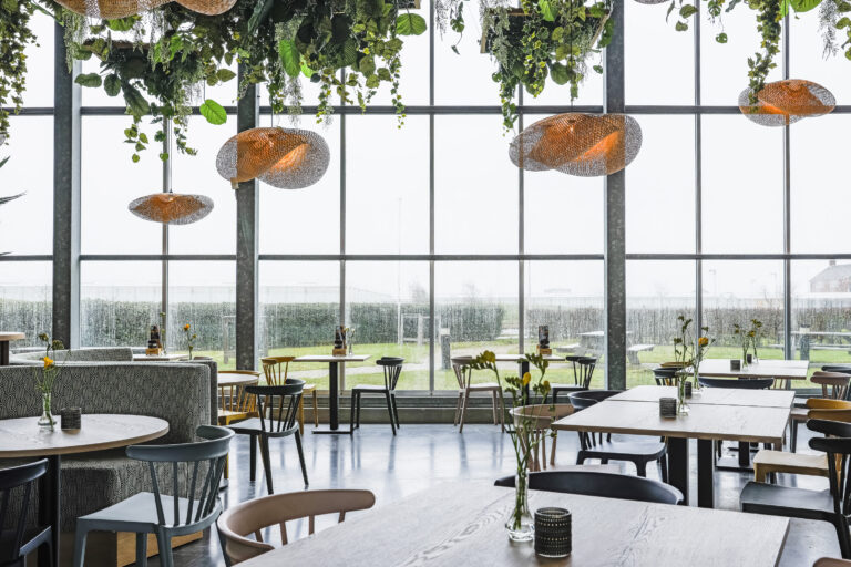 20230224-The Vineyard-3817-Web