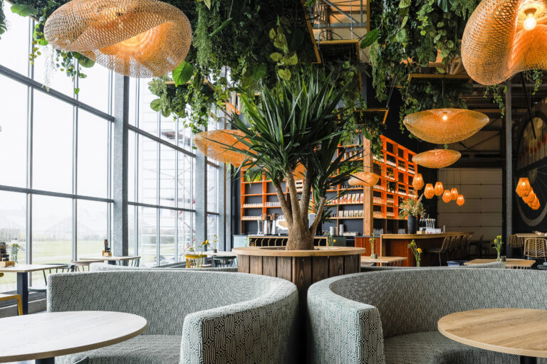 20230224-The Vineyard-3829-Web