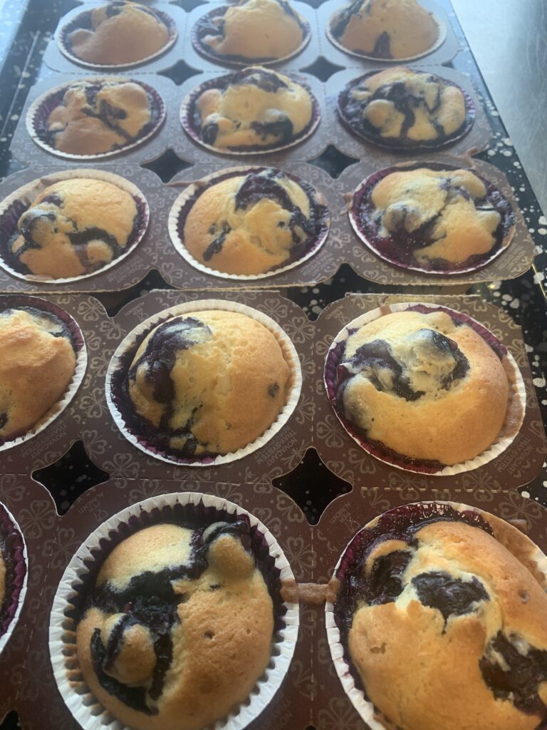 Blue berrie cupcakes 2-DLF-MW-00701