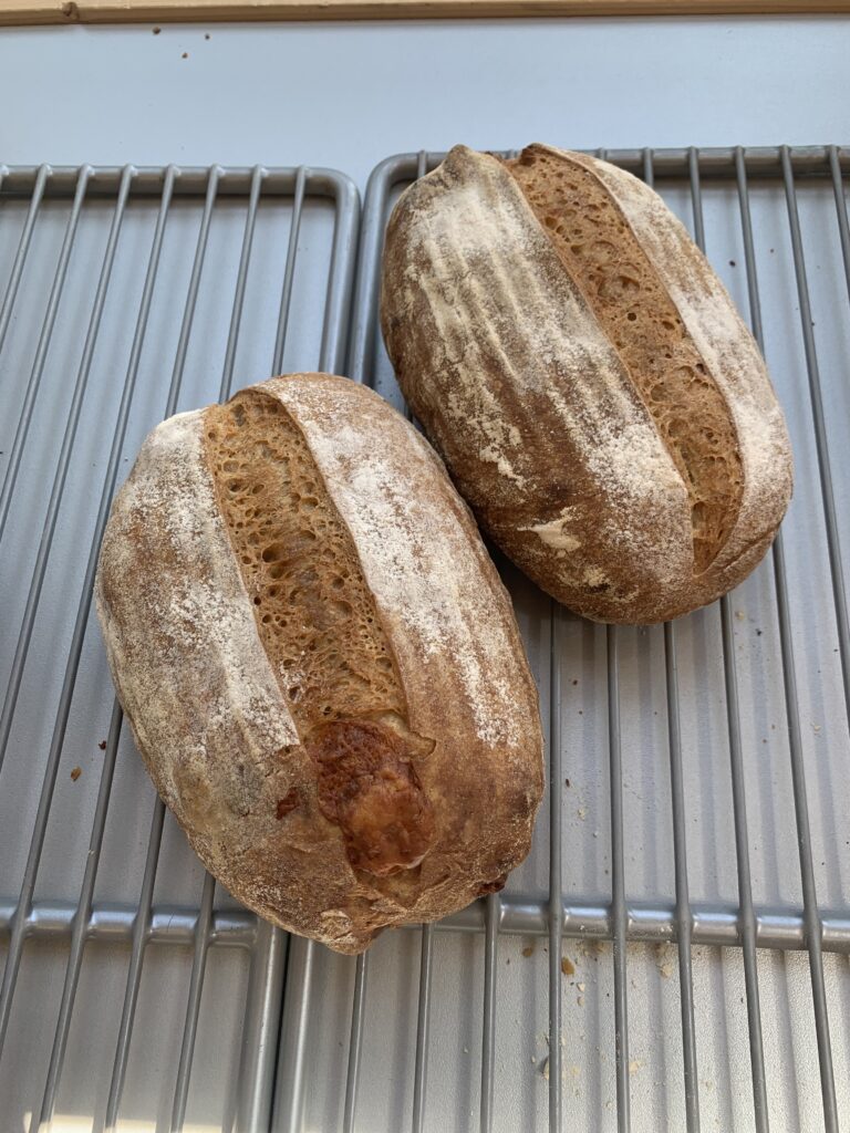 Desem brood Volkoren 500 gram