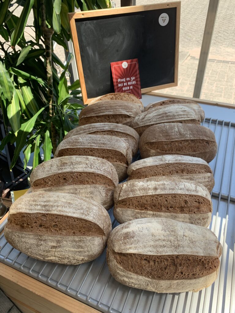 Desem brood Volkoren 500 gram-DLF-MW-00701
